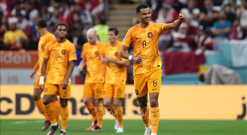 Phong độ thi đấu của các cầu thủ hai đội Hà Lan vs Ba Lan