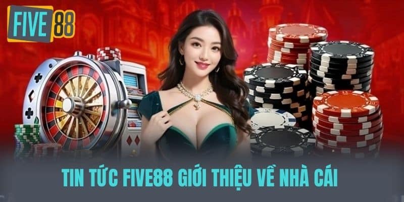 Tổng quan các điểm cực nổi bật của sân chơi